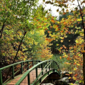 Yazılı Kanyon Tabiat Parkı